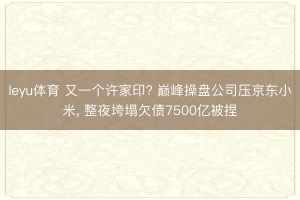 leyu体育 又一个许家印? 巅峰操盘公司压京东小米, 整夜垮塌欠债7500亿被捏
