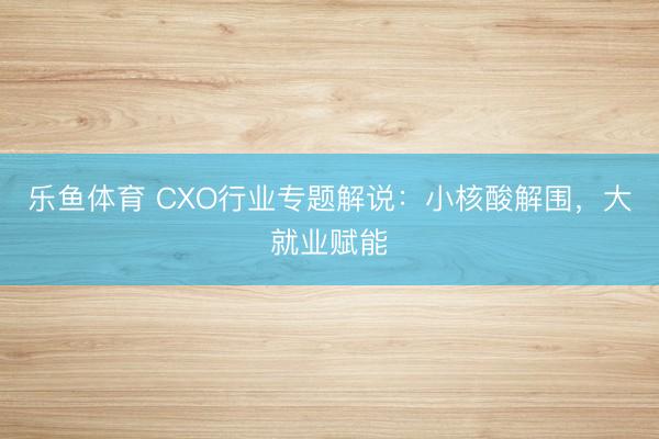 乐鱼体育 CXO行业专题解说:小核酸解围,大就业赋能